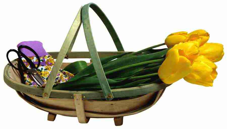 Summer Fun - Brand X Pictures ></a>
<script language=JavaScript> 
  var txt = 