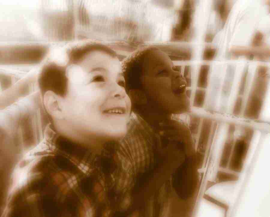 The Wonder Years - Brand X Pictures ></a>
<script language=JavaScript> 
  var txt = 