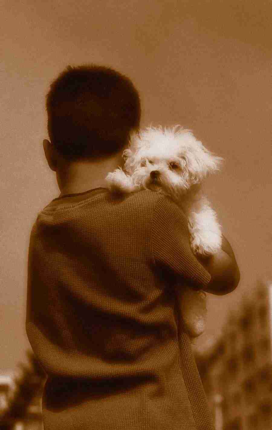 The Wonder Years - Brand X Pictures ></a>
<script language=JavaScript> 
  var txt = 