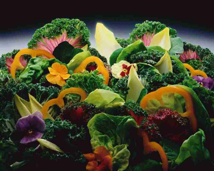 Delicious Delights - Corbis ></a>
<script language=JavaScript> 
  var txt = 