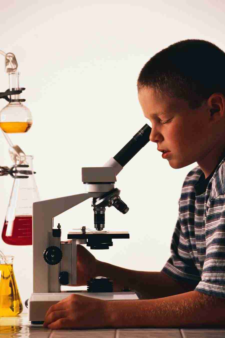 Education - Corbis ></a>
<script language=JavaScript> 
  var txt = 