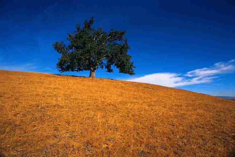 Four Seasons - Corbis ></a>
<script language=JavaScript> 
  var txt = 
