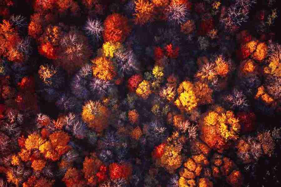 Four Seasons - Corbis ></a>
<script language=JavaScript> 
  var txt = 