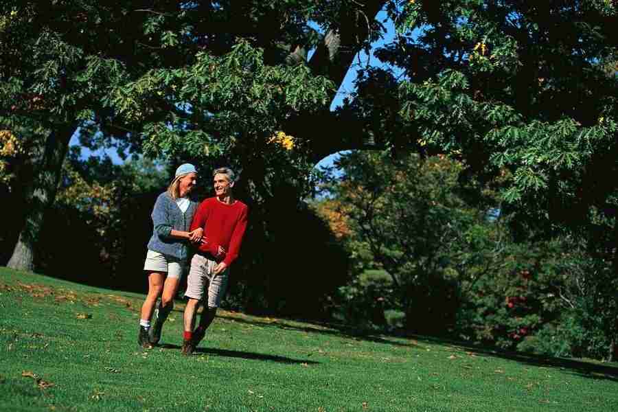 Romantic Moments - Corbis ></a>
<script language=JavaScript> 
  var txt = 