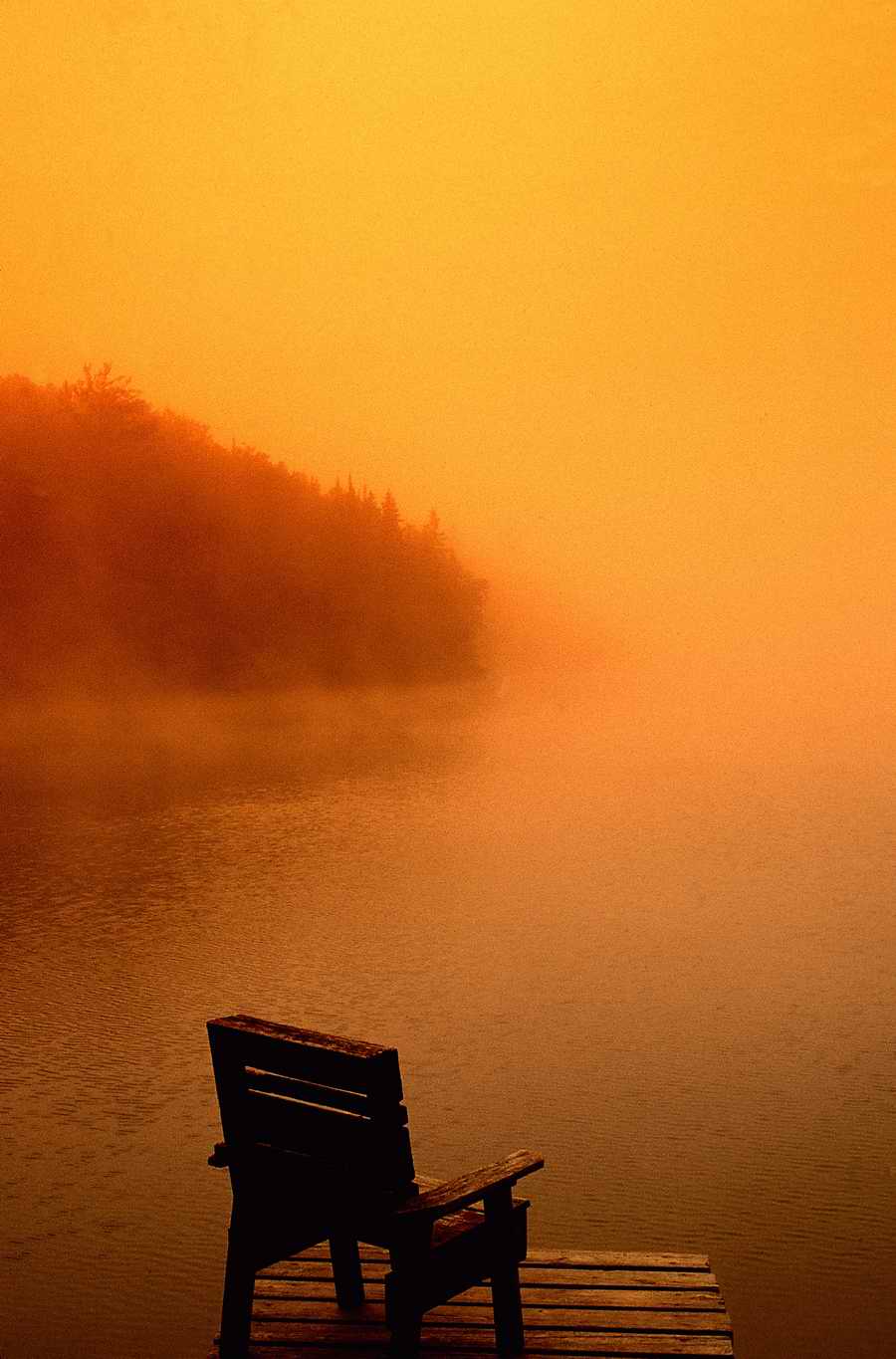 Premium Photo - Corel Draw 11 ></a>
<script language=JavaScript> 
  var txt = 