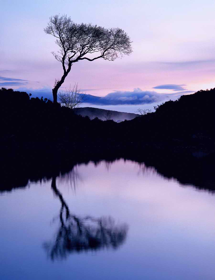 Premium Photo - Corel Draw 11 ></a>
<script language=JavaScript> 
  var txt = 