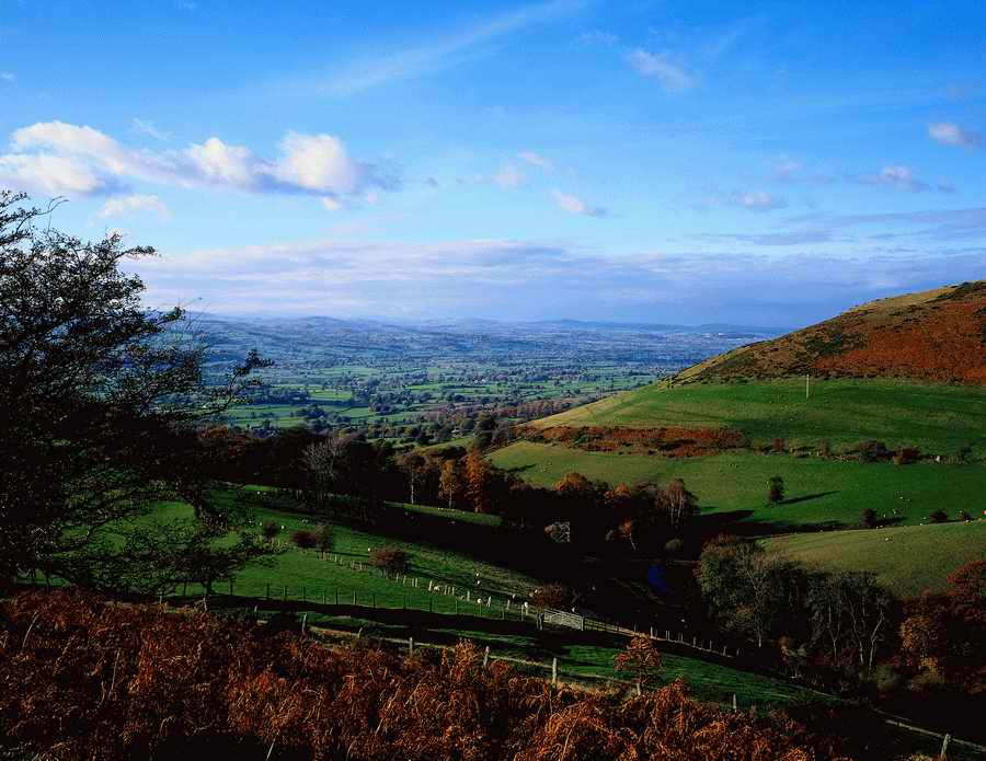 Premium Photo - Corel Draw 11 ></a>
<script language=JavaScript> 
  var txt = 