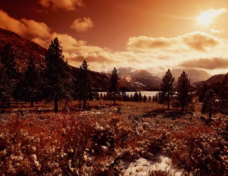 Premium Photo - Corel Draw 11 ></a>
<script language=JavaScript> 
  var txt = 