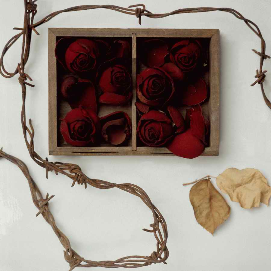 Premium Photo - Corel Draw 11 ></a>
<script language=JavaScript> 
  var txt = 