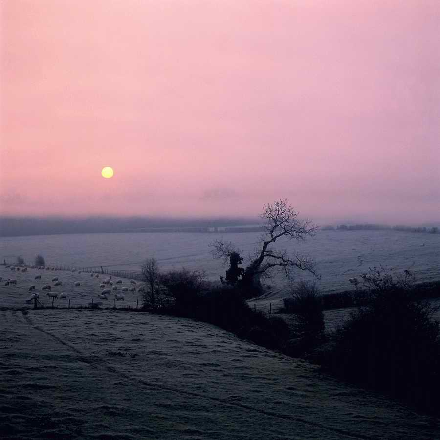 Premium Photo - Corel Draw 11 ></a>
<script language=JavaScript> 
  var txt = 