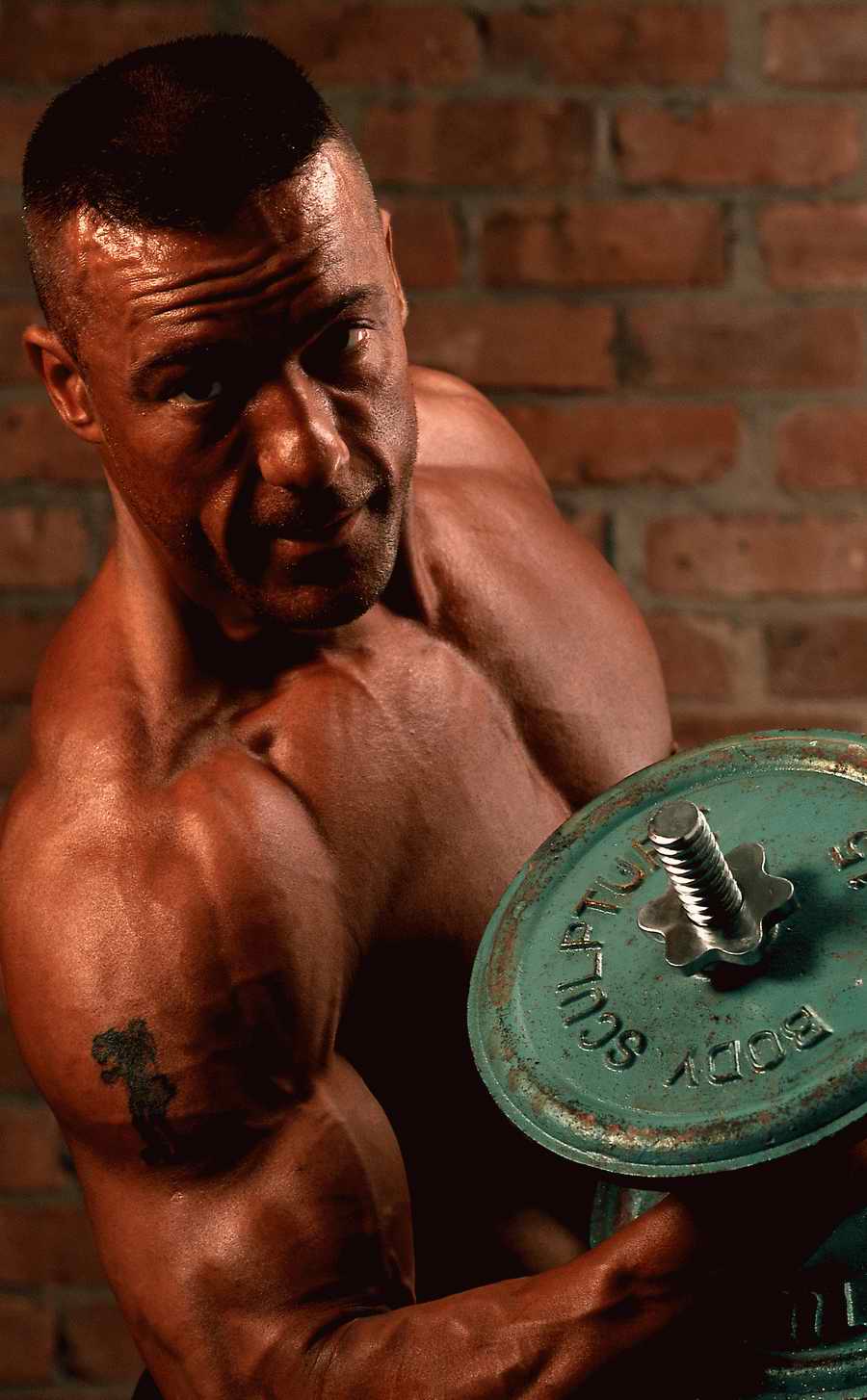 Premium Photo - Corel Draw 11 ></a>
<script language=JavaScript> 
  var txt = 