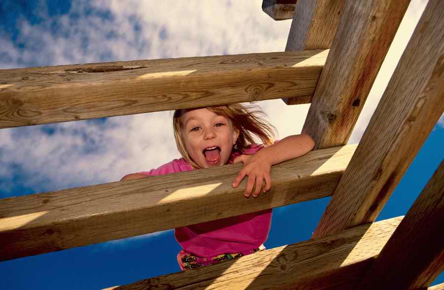 Premium Photo - Corel Draw 11 ></a>
<script language=JavaScript> 
  var txt = 