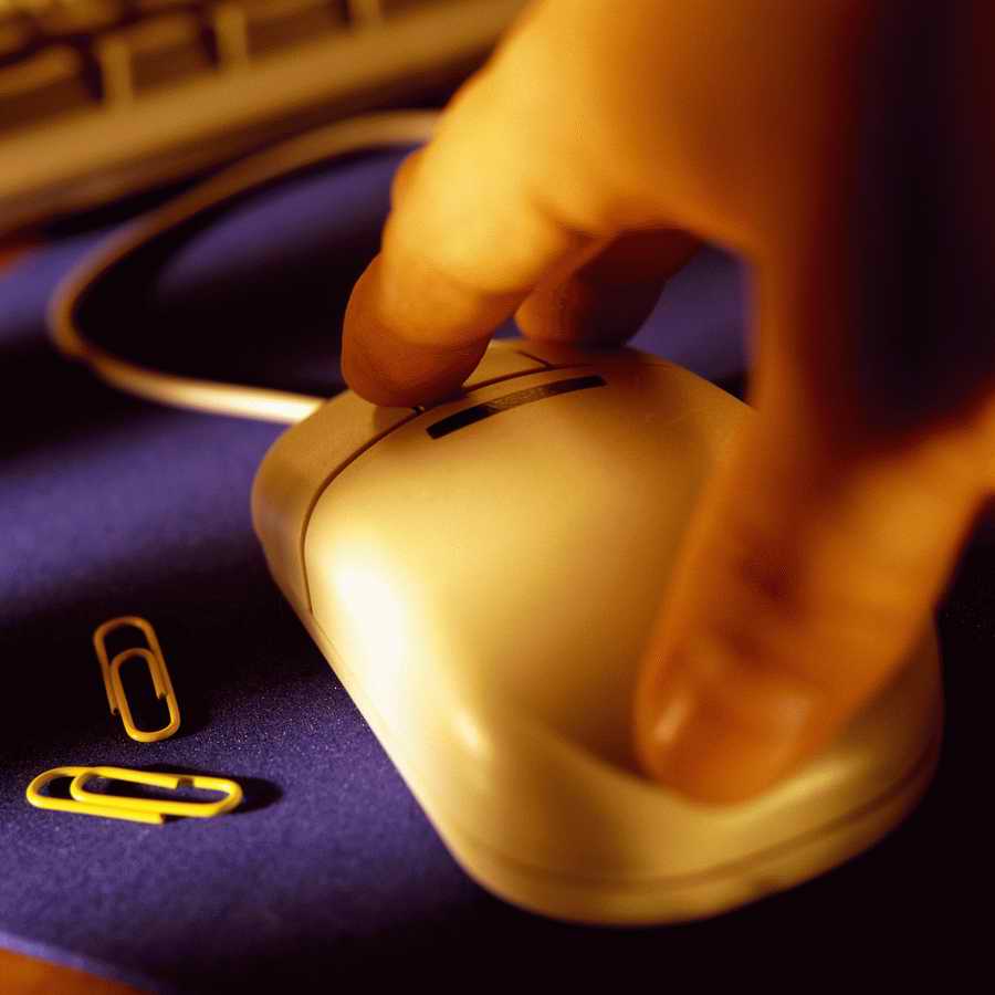 Premium Photo - Corel Draw 11 ></a>
<script language=JavaScript> 
  var txt = 