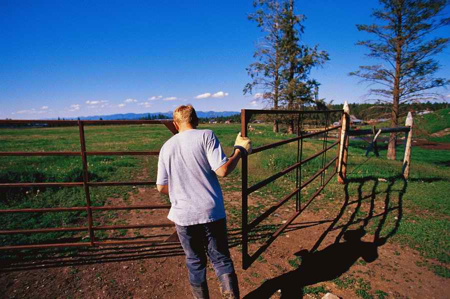 24 Hours: Farm - Corbis  ></a>
<script language=JavaScript> 
  var txt = 