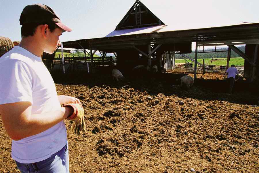 24 Hours: Farm - Corbis  ></a>
<script language=JavaScript> 
  var txt = 