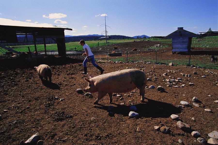 24 Hours: Farm - Corbis  ></a>
<script language=JavaScript> 
  var txt = 