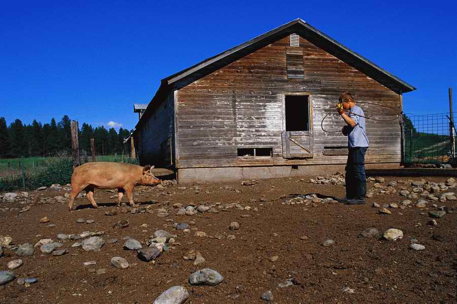 24 Hours: Farm - Corbis  ></a>
<script language=JavaScript> 
  var txt = 