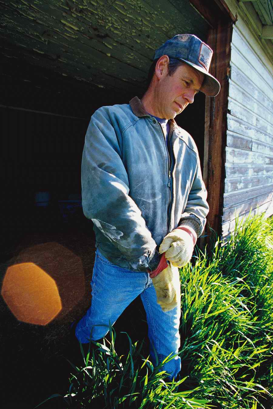 24 Hours: Farm - Corbis  ></a>
<script language=JavaScript> 
  var txt = 