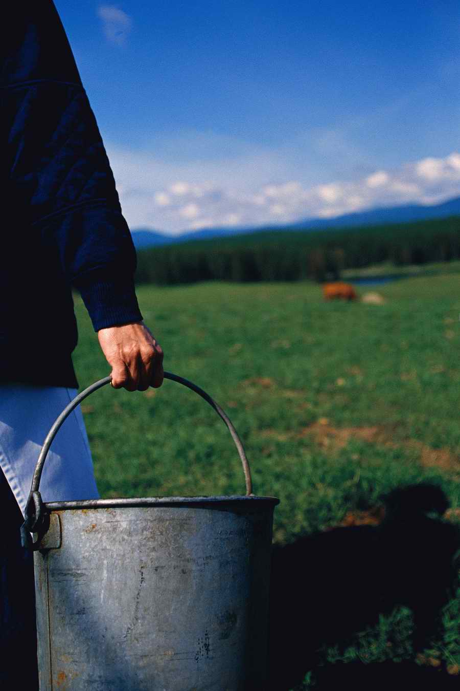 24 Hours: Farm - Corbis  ></a>
<script language=JavaScript> 
  var txt = 