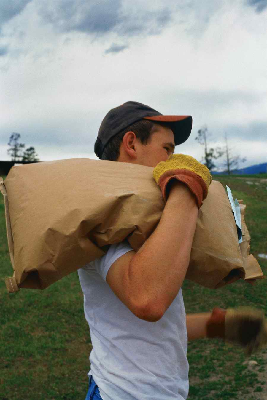 24 Hours: Farm - Corbis  ></a>
<script language=JavaScript> 
  var txt = 