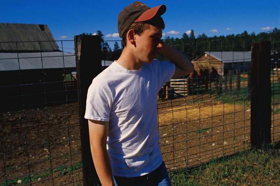 24 Hours: Farm - Corbis  ></a>
<script language=JavaScript> 
  var txt = 