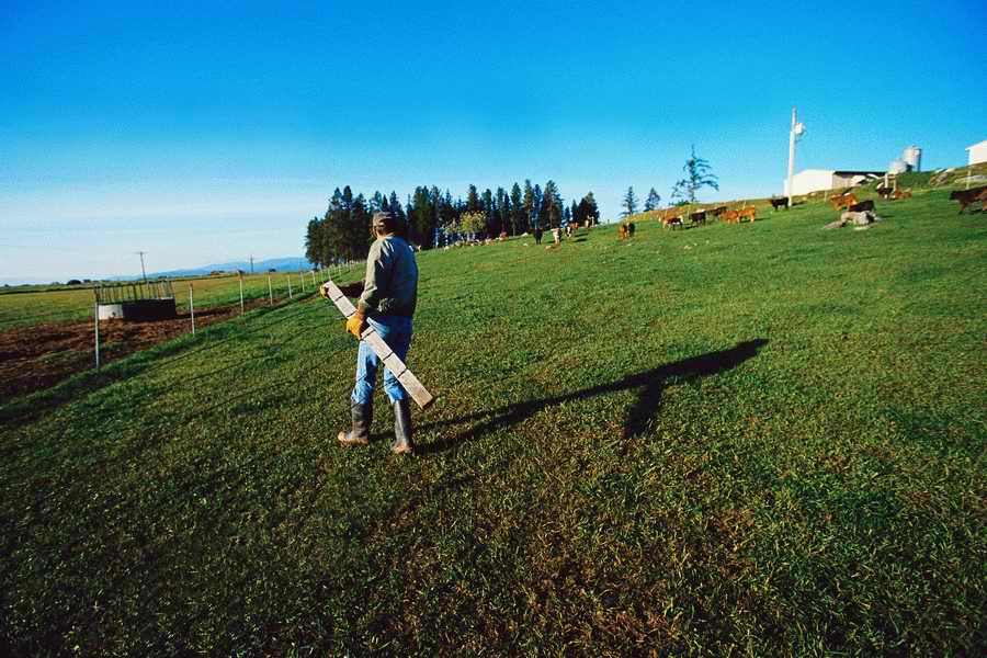 24 Hours: Farm - Corbis  ></a>
<script language=JavaScript> 
  var txt = 