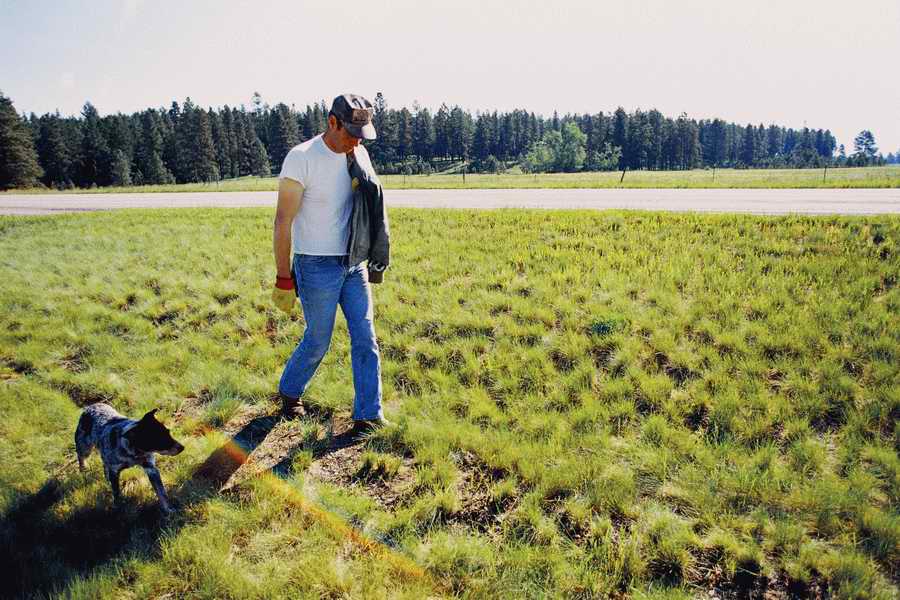 24 Hours: Farm - Corbis  ></a>
<script language=JavaScript> 
  var txt = 