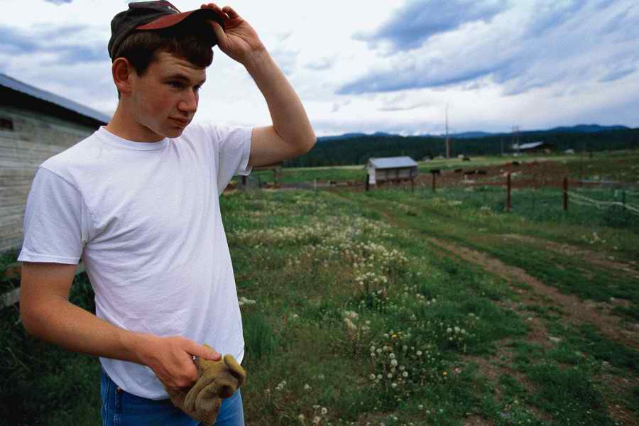 24 Hours: Farm - Corbis  ></a>
<script language=JavaScript> 
  var txt = 