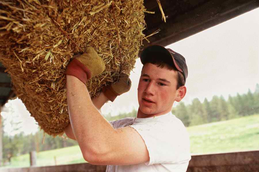 24 Hours: Farm - Corbis  ></a>
<script language=JavaScript> 
  var txt = 
