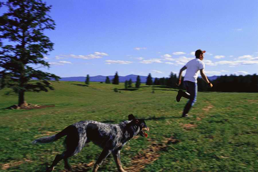 24 Hours: Farm - Corbis  ></a>
<script language=JavaScript> 
  var txt = 