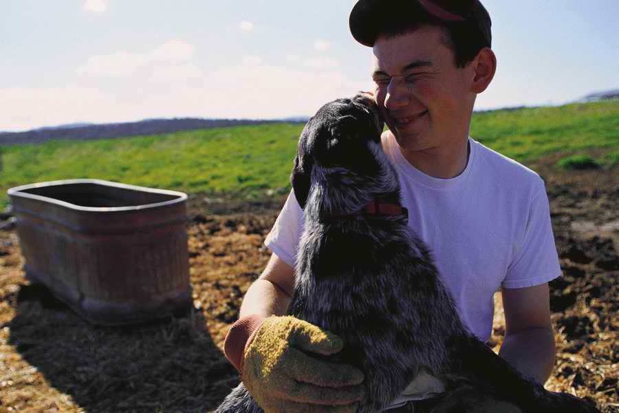 24 Hours: Farm - Corbis  ></a>
<script language=JavaScript> 
  var txt = 