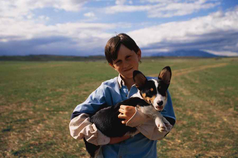 24 Hours: Farm - Corbis  ></a>
<script language=JavaScript> 
  var txt = 
