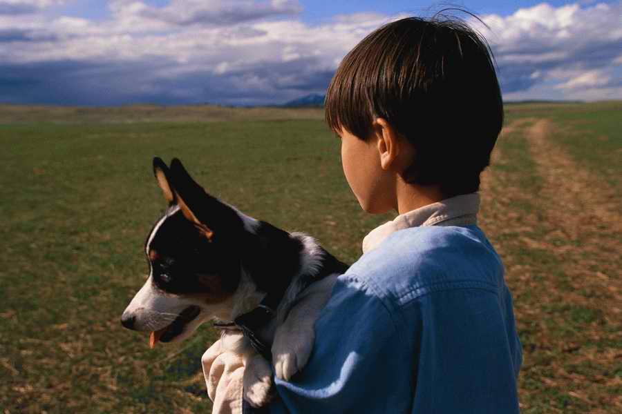 24 Hours: Farm - Corbis  ></a>
<script language=JavaScript> 
  var txt = 