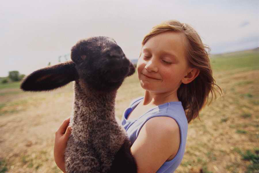 24 Hours: Farm - Corbis  ></a>
<script language=JavaScript> 
  var txt = 