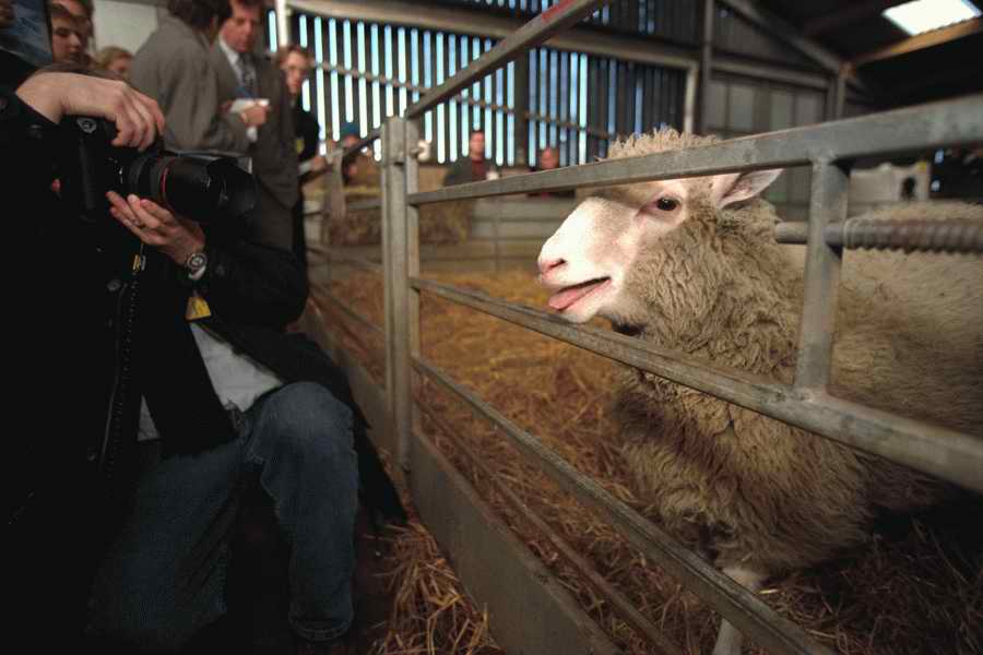 Animal Farm - Corbis Online ></a>
<script language=JavaScript> 
  var txt = 