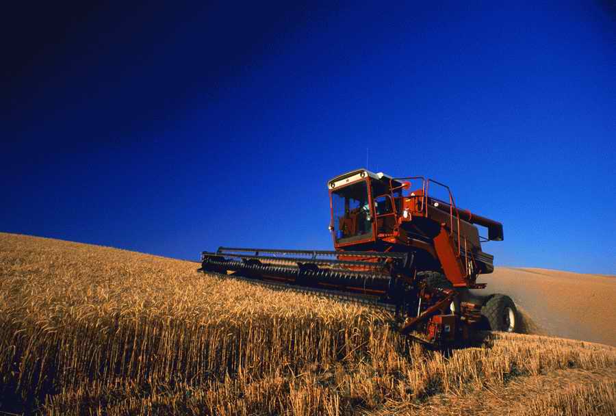Agrimotor - Corbis Online ></a>
<script language=JavaScript> 
  var txt = 