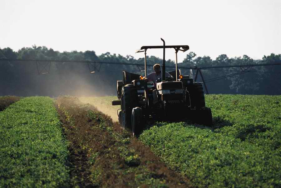 Agrimotor - Corbis Online ></a>
<script language=JavaScript> 
  var txt = 