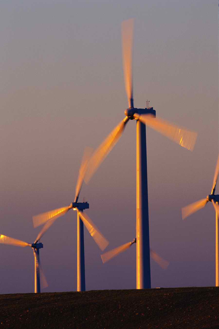 Agrimotor - Corbis Online ></a>
<script language=JavaScript> 
  var txt = 