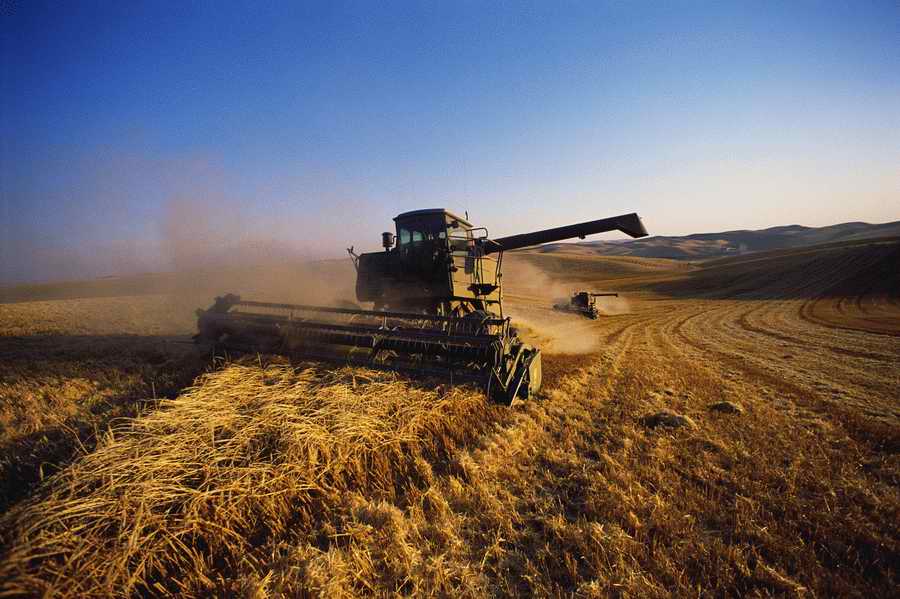 Agrimotor - Corbis Online ></a>
<script language=JavaScript> 
  var txt = 