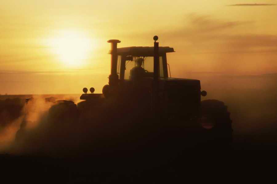 Agrimotor - Corbis Online ></a>
<script language=JavaScript> 
  var txt = 