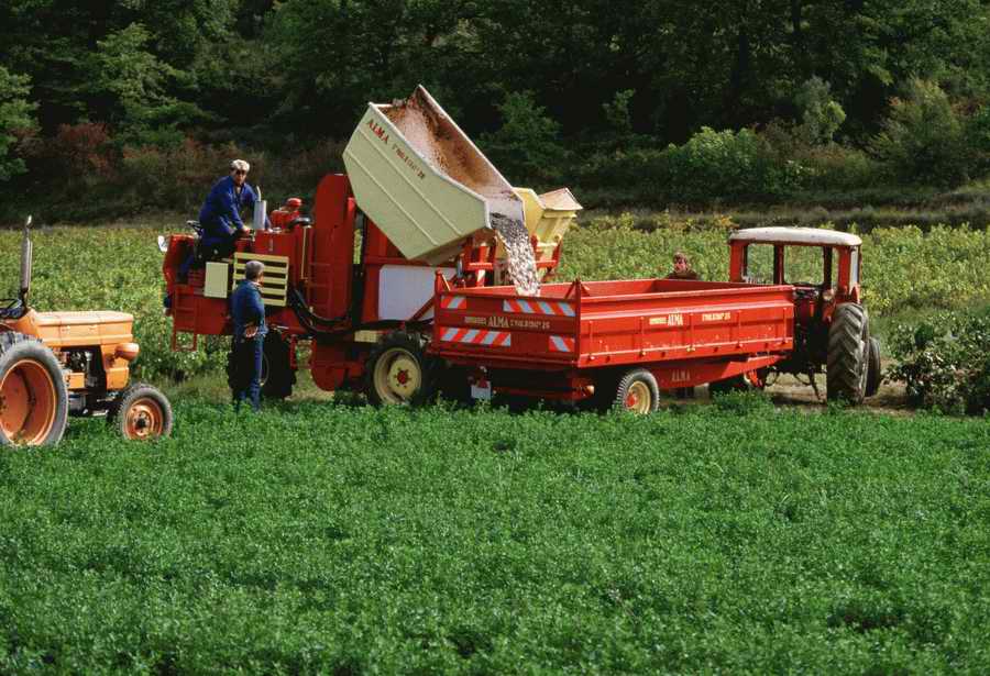 Agrimotor - Corbis Online ></a>
<script language=JavaScript> 
  var txt = 