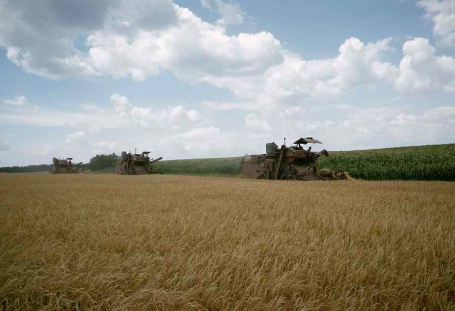 Agrimotor - Corbis Online ></a>
<script language=JavaScript> 
  var txt = 