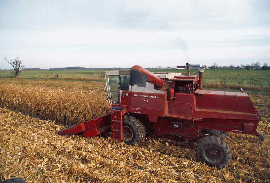 Agrimotor - Corbis Online ></a>
<script language=JavaScript> 
  var txt = 