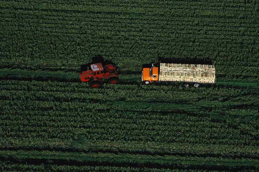 Agrimotor - Corbis Online ></a>
<script language=JavaScript> 
  var txt = 