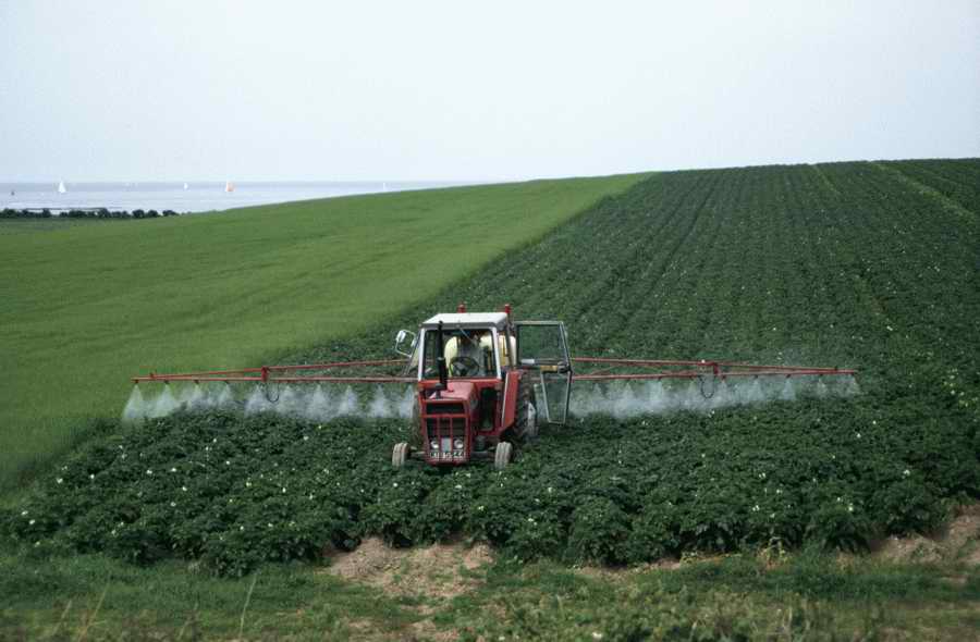 Agrimotor - Corbis Online ></a>
<script language=JavaScript> 
  var txt = 