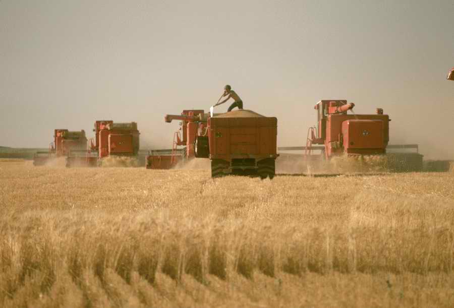 Agrimotor - Corbis Online ></a>
<script language=JavaScript> 
  var txt = 