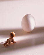 Corbis : Concepts in Miniature 