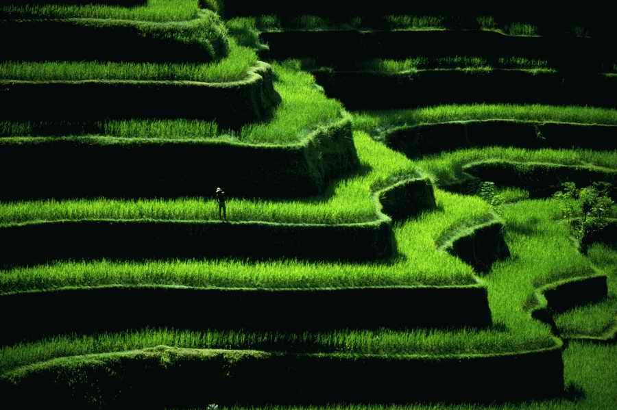 Field - Corbis Online ></a>
<script language=JavaScript> 
  var txt = 