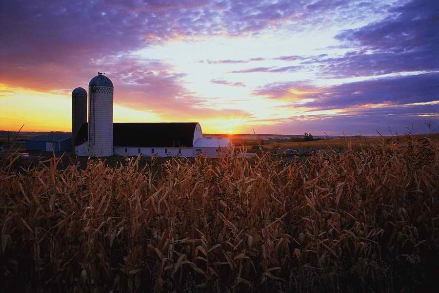 Field - Corbis Online ></a>
<script language=JavaScript> 
  var txt = 