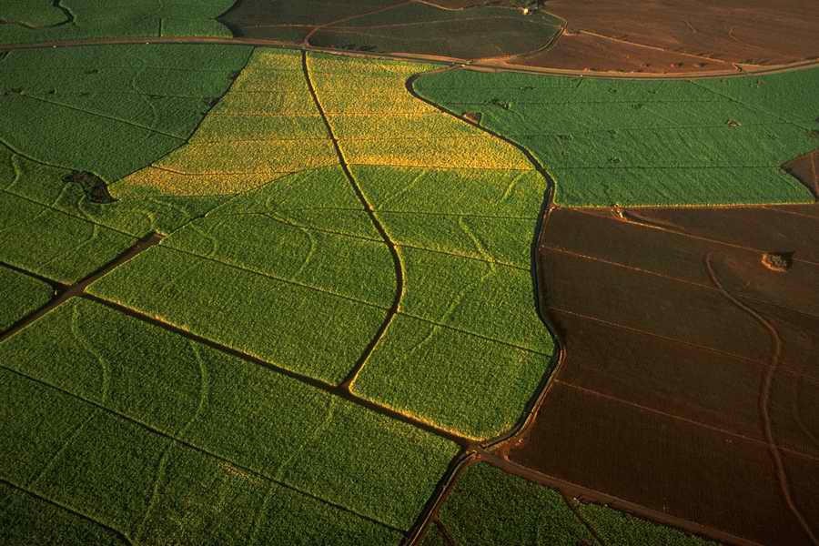 Field 2 - Corbis Online ></a>
<script language=JavaScript> 
  var txt = 